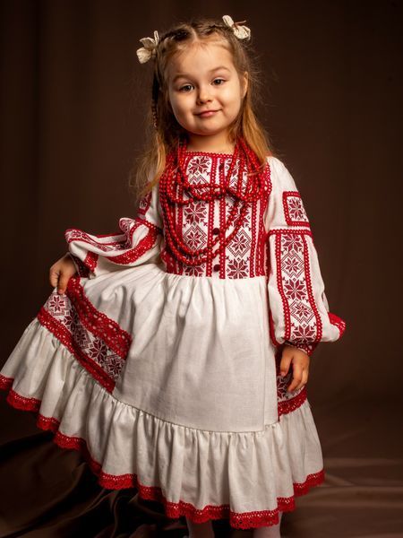 Комплект "Ельвіра" - Вишита сукня та плахта в бордовому кольорі фото