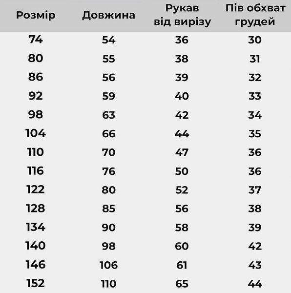 Еля - Вишита сукня з блакитною різнокольорової вишивкою та блакитним поясом фото