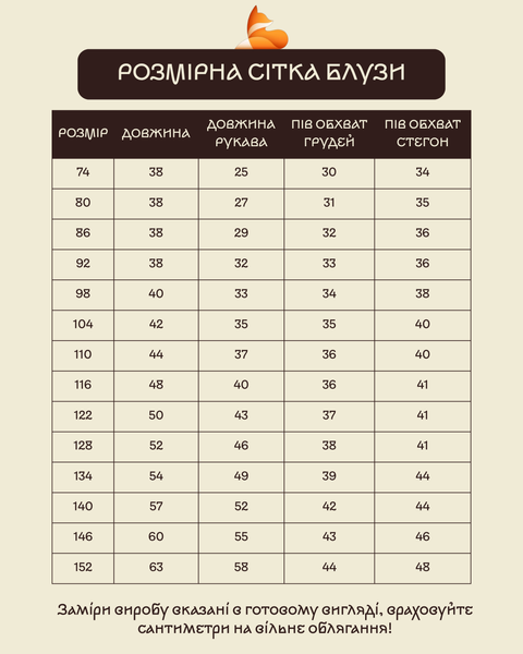 Ельвіра - Вишита сорочка в етностилі в блакитному кольорі фото